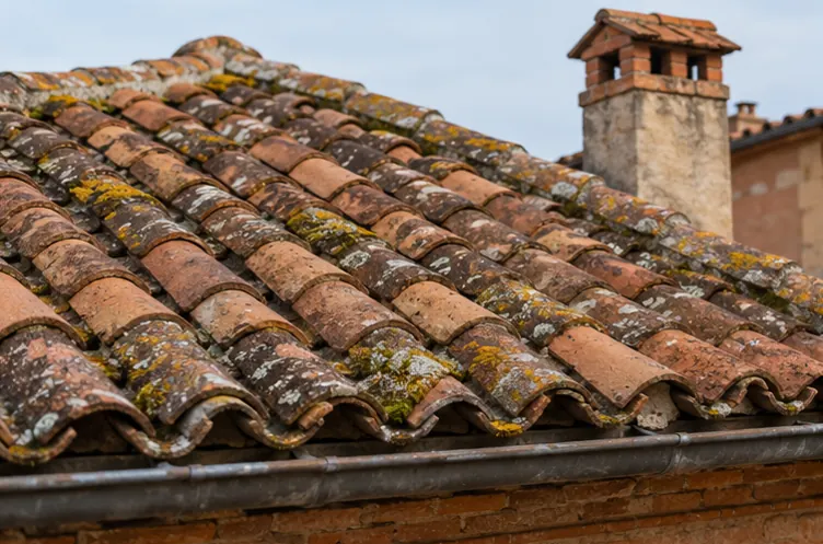 Illustration : Couverture en tuiles canal et lichens